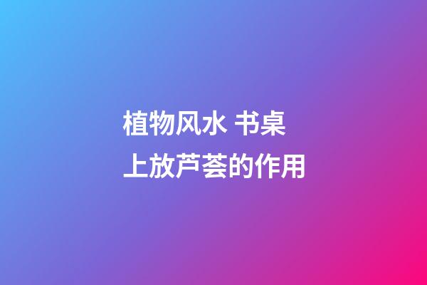 植物风水 书桌上放芦荟的作用